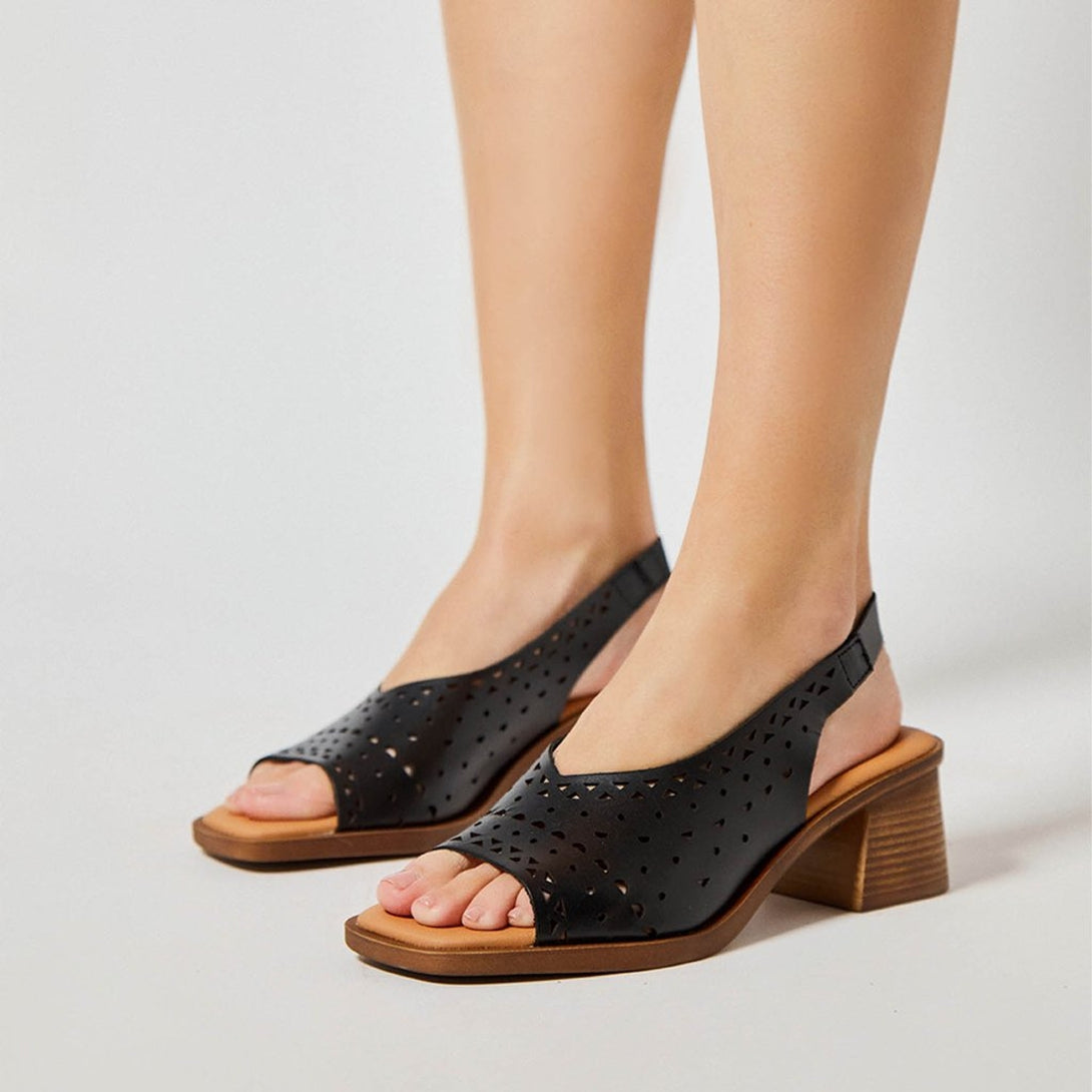ELVIA NEGRO-5